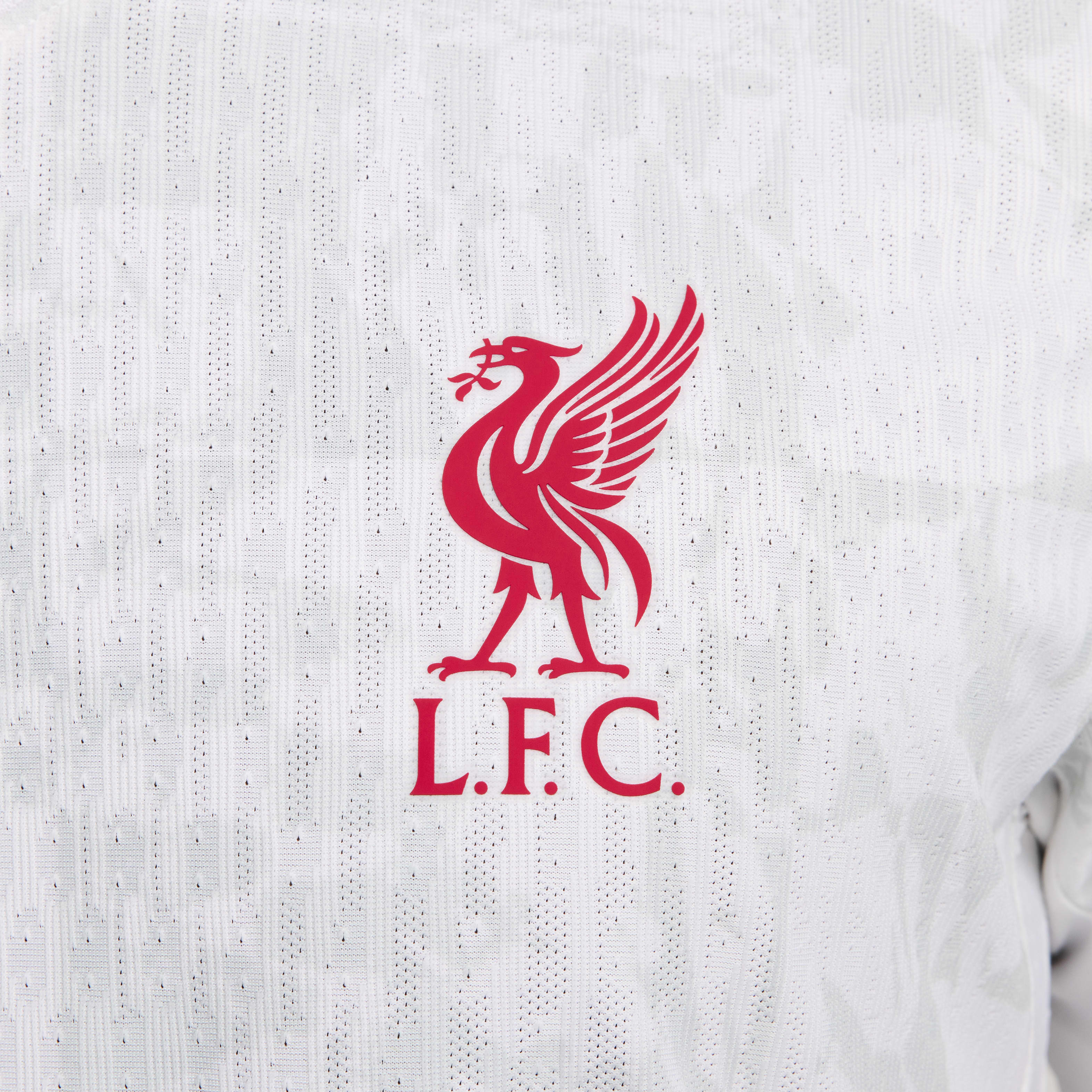 Nike Liverpool F.C. 2024/25 Match Third Men's Nike Dri-FIT